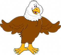 Realistic bald eagle clipart - Clip Art Library