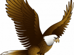 Free Harpy Eagle Clipart, Download Free Clip Art on Owips.com