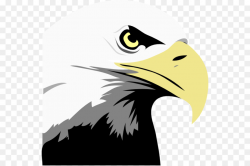 Bald Eagle Eagle png download - 600*598 - Free Transparent Bald ...