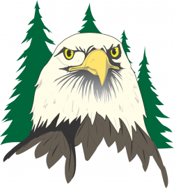Free Cartoon Eagle Clipart, Download Free Clip Art, Free Clip Art on ...