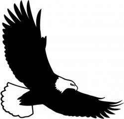 Free Eagle Silhouette Cliparts, Download Free Clip Art, Free Clip ...