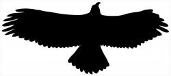 Free Eagle Silhouette Cliparts, Download Free Clip Art, Free Clip ...