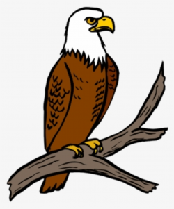 Eagle Clipart PNG, Transparent Eagle Clipart PNG Image Free Download ...
