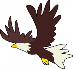 Free stock photos - Rgbstock - Free stock images | Bald Eagle ...