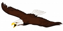 Free Eagle Cliparts, Download Free Clip Art, Free Clip Art on ...