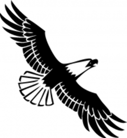 Soaring Eagle Clipart | Clipart Panda - Free Clipart Images