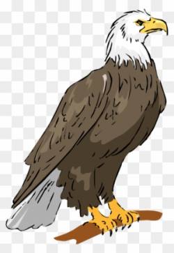 Eagle Clipart Png (94+ images in Collection) Page 1