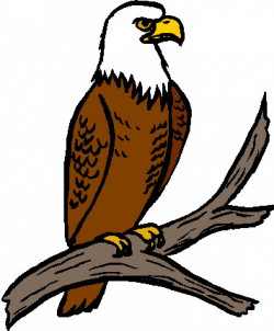 Free Free Eagle Images, Download Free Clip Art, Free Clip Art on ...