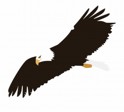 Soaring Eagle Png Image - Eagle Clipart Transparent Background ...