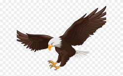 Flight Clipart Clip Art - Clip Art Bald Eagle Png Transparent Png ...
