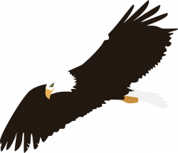 Eagle Vector Clipart | Free download best Eagle Vector Clipart on ...