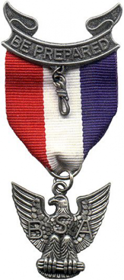 Eagle Scout (Boy Scouts of America) - Wikipedia