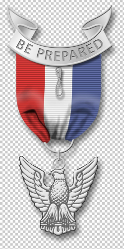 Eagle Scout Boy Scouts Of America Scouting Medal PNG ...