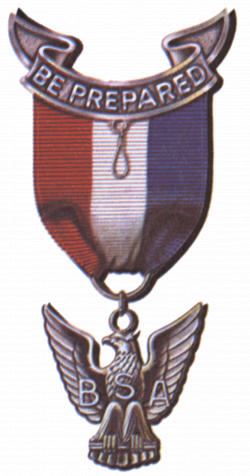Medal clipart eagle scout, Medal eagle scout Transparent ...