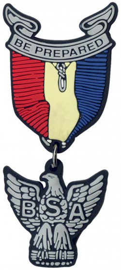Eagle Scout Magnet