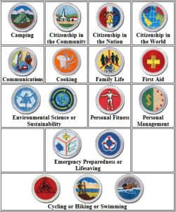 Required Eagle Scout Merit Badges | Boy scouts merit badges ...