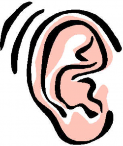 Download for free 10 PNG Ear clip art oreja top images at ...