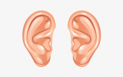 29 Ear Clipart oreja Free Clip Art stock illustrations ...