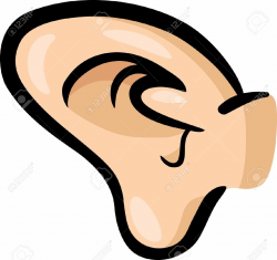 Best Ear Clipart #710 - Clipartion.com