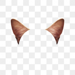Animal Ears PNG Images | Vector and PSD Files | Free ...