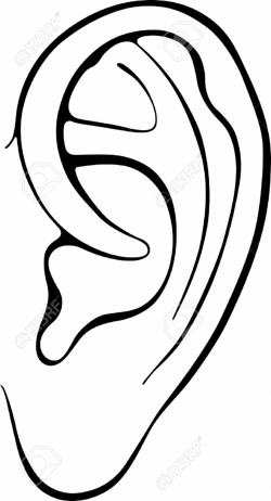 Ear clip art free clipart images 4 - ClipartPost