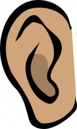 20+ Ear Clip Art | ClipartLook