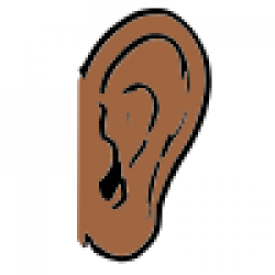 Body Parts Pictures for Classroom and Therapy Use
