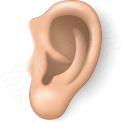 Ear clipart cute ear, Ear cute ear Transparent FREE for ...