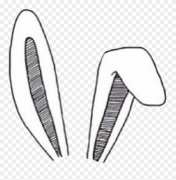 Cute Sticker - Bunny Ears Overlays Png Clipart (#3520274 ...