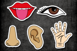 Five senses clipart tongue mouth, nose, ear, eye, hand