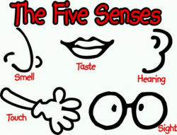 Free 5 Senses Cliparts, Download Free Clip Art, Free Clip ...