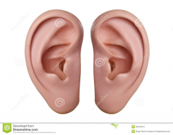 Human Ear Clip Art | Clipart Panda - Free Clipart Images