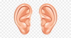 Cartoon Ears - Human Ear Ears Clipart, HD Png Download ...