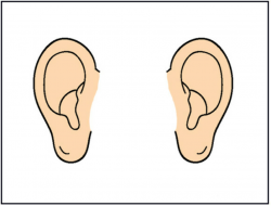 Unit 3: Look At You! - Lessons - Tes Teach