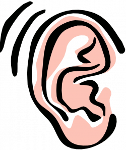 ear clip art free clipart images - WikiClipArt