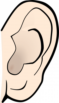 Best Ear Clipart #696 - Clipartion.com