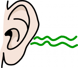 Free Listening Ears Cliparts, Download Free Clip Art, Free ...