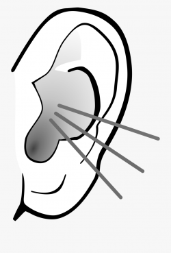 Free Png Listening Ear Transparent Listening Ear - Listening ...