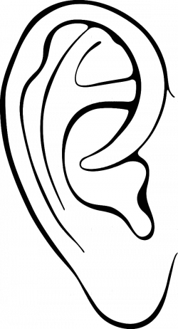 Ear Ears Clipart Outline Frames Illustrations Hd Images ...