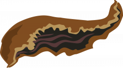 Ears clipart goat, Ears goat Transparent FREE for download ...