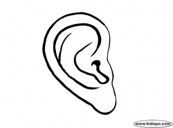 Ear clipart right, Ear right Transparent FREE for download ...