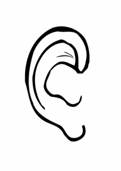 Image Of The Ear Clipart | Free download best Image Of The ...