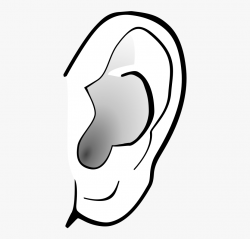 Download for free 10 PNG Ears clipart right ear top images ...