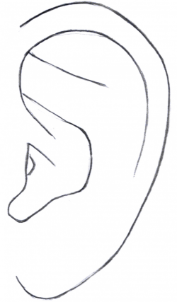 Free Image Of The Ear, Download Free Clip Art, Free Clip Art ...