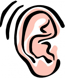 Free Ear Transparent, Download Free Clip Art, Free Clip Art ...