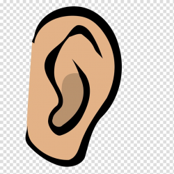 Hearing , ear transparent background PNG clipart | HiClipart