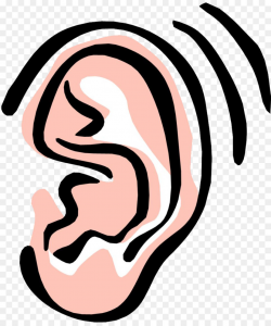 Free Ear Transparent, Download Free Clip Art, Free Clip Art ...