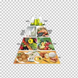 Nutrient Food pyramid Eating Nutrition Diet, Chinese people ...