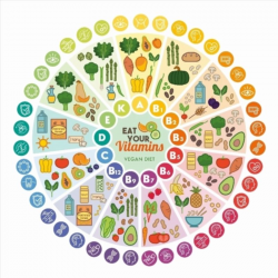 Vitamin vegan food sources and functions rainbow wheel chart ...