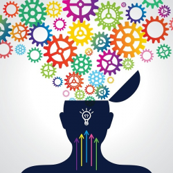 What Do You Know: About Brain Science and Adult Learning